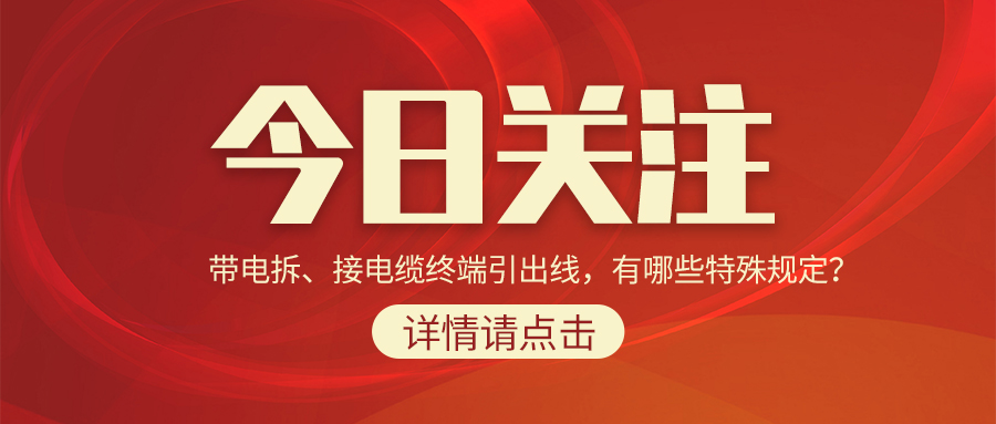 带电拆、接电缆终端引出线，有哪些特殊规定？